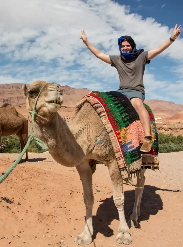 camel