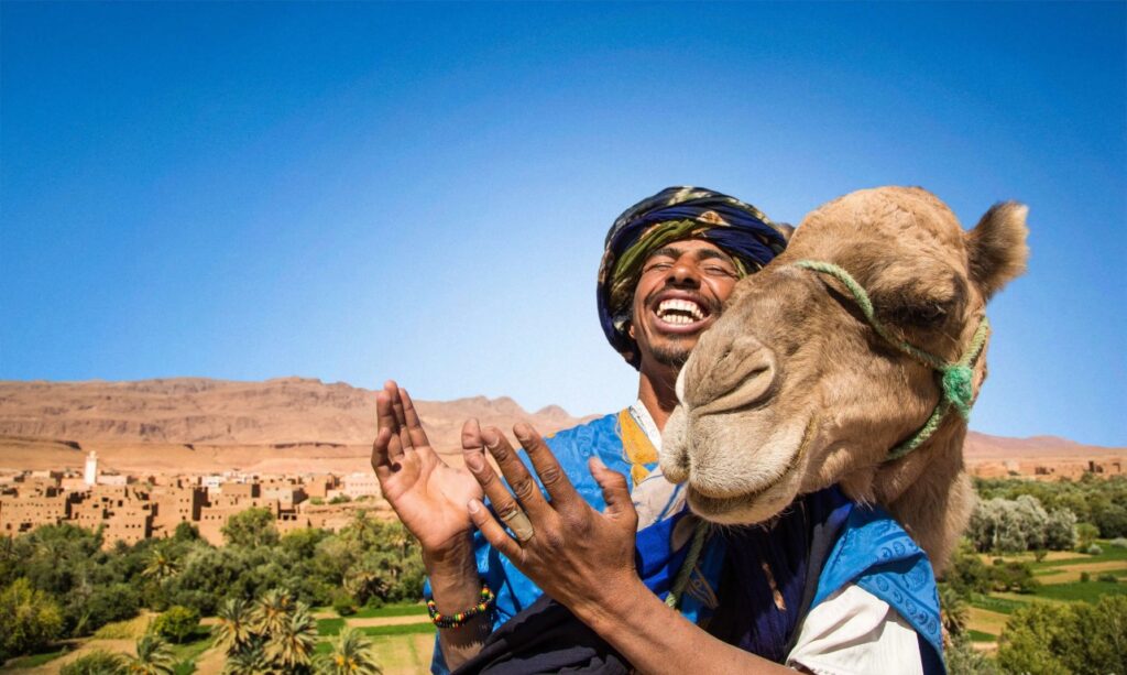 camels