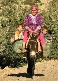 family berber