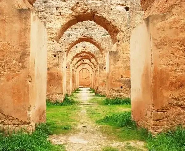 meknes to see