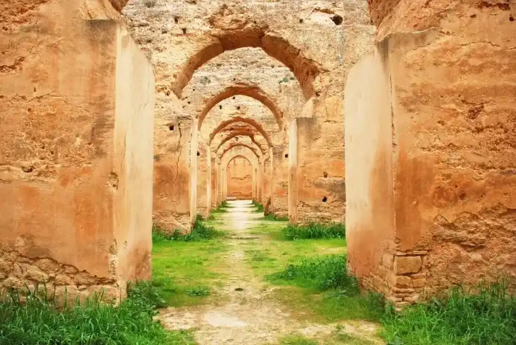 meknes to see