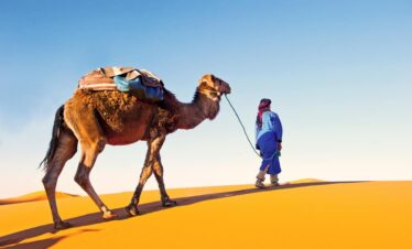 man with camel