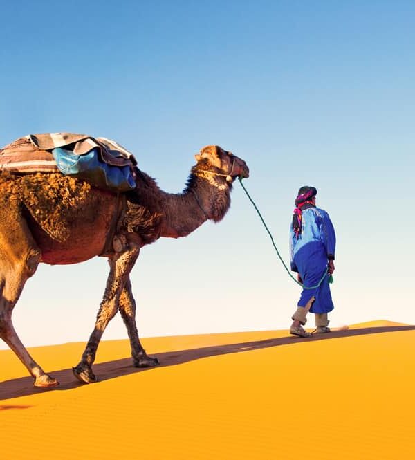 man with camel