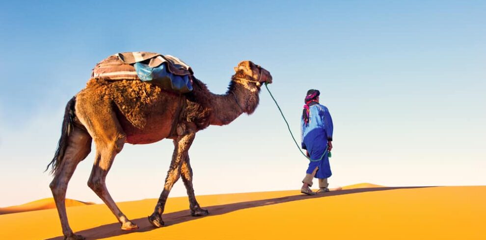 man with camel