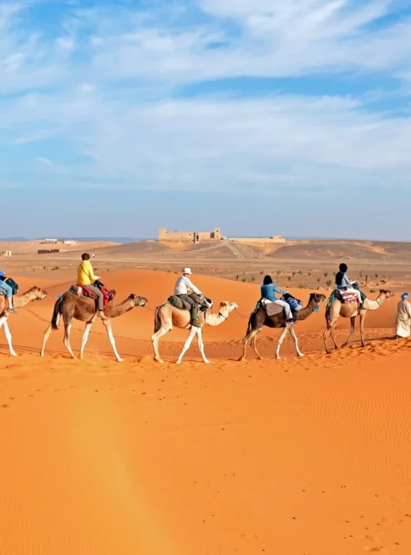 Erg chagaga desert